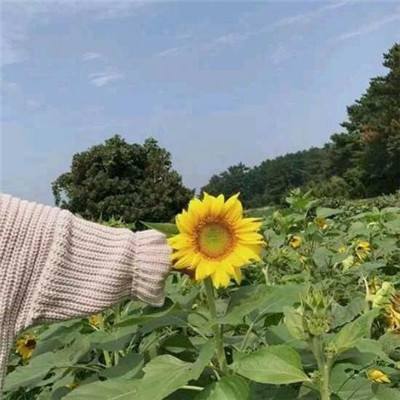 战神掘起最新版下载